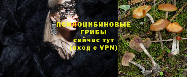a pvp Горнозаводск