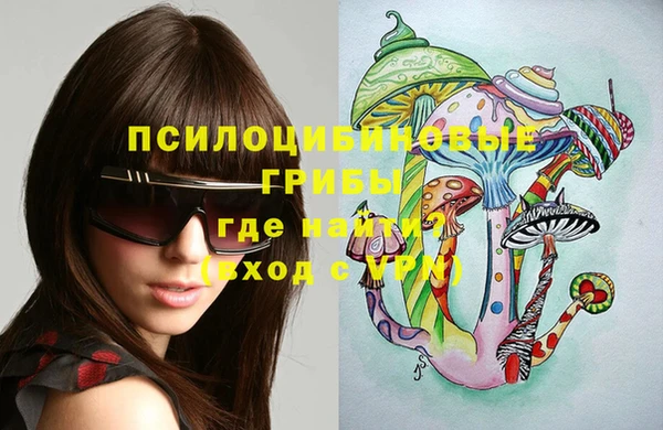 a pvp Горнозаводск