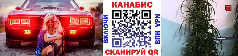 Бошки Шишки семена  Купить закладки  Комсомольск 